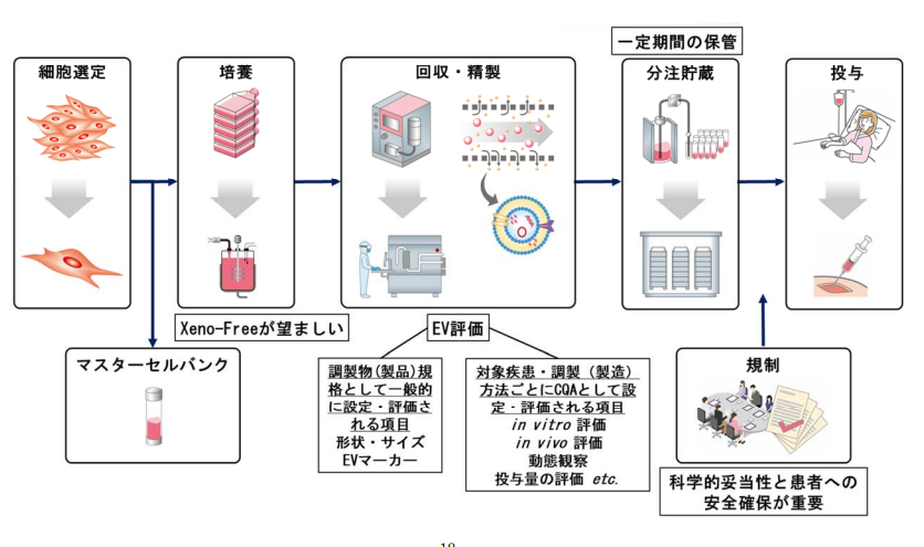 幹細胞培養上清液の安全性・安全管理について